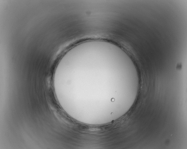 X0000114400636200910161057