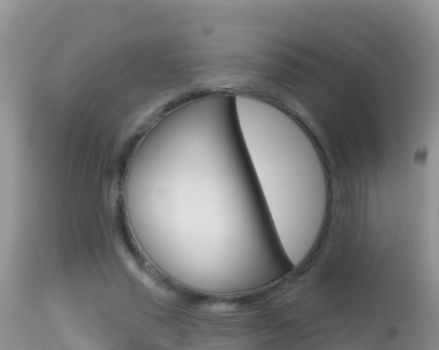 X0000114400637200910161057