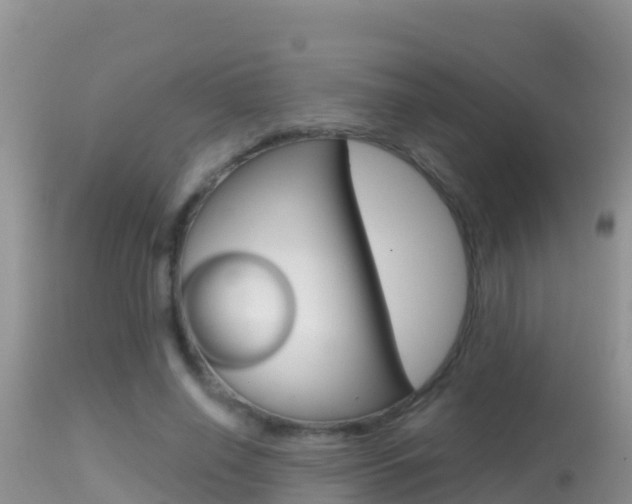 X0000114400638200910161057