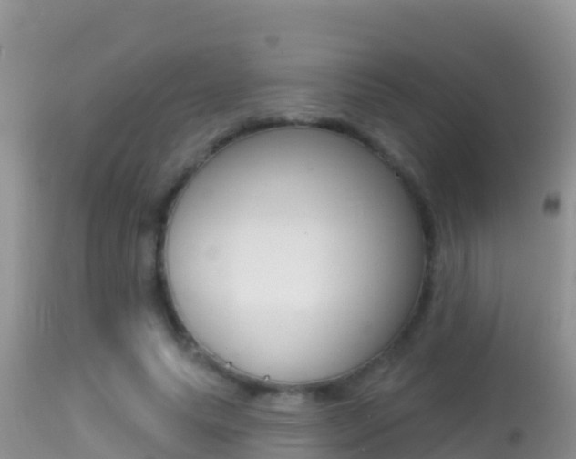 X0000114400639200910161057