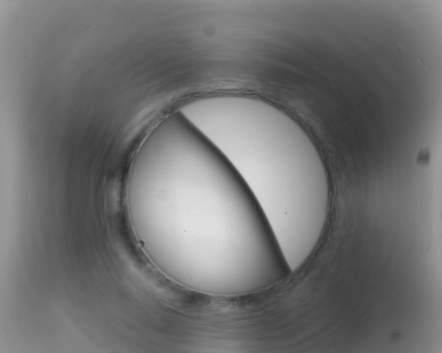 X0000114400640200910161057