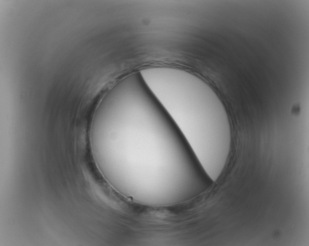 X0000114400642200910161057