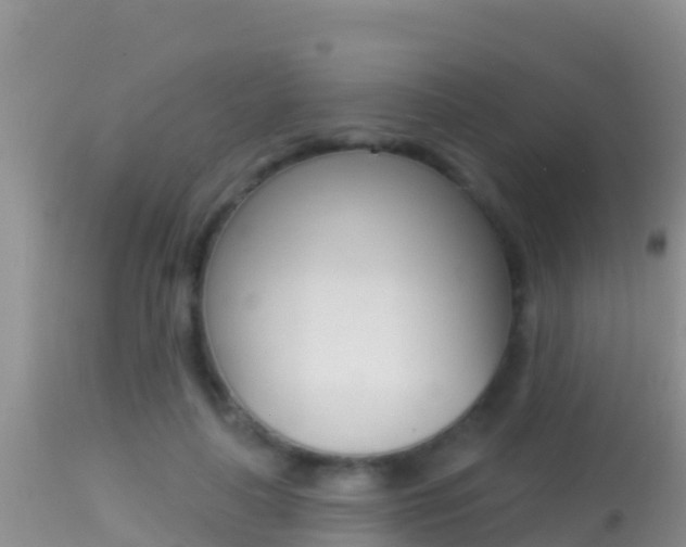X0000114400643200910161057