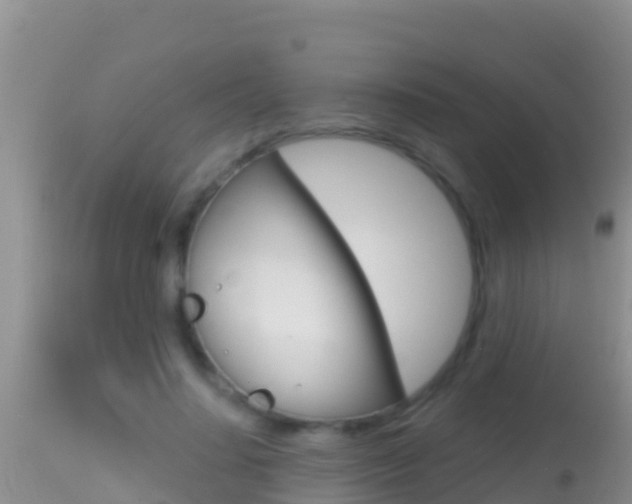 X0000114400644200910161057