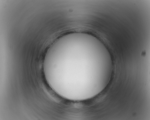 X0000114400645200910161057