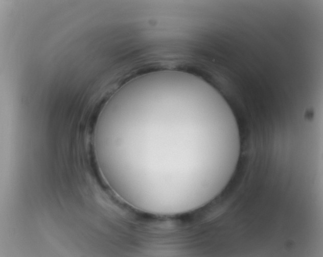 X0000114400646200910161057