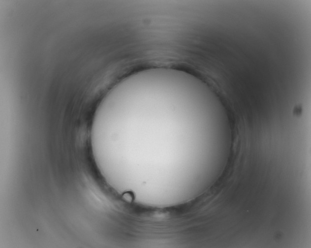 X0000114400647200910161057
