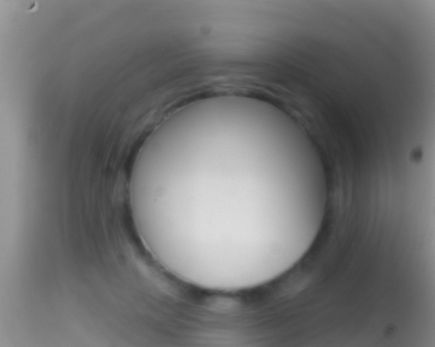 X0000114400649200910161057