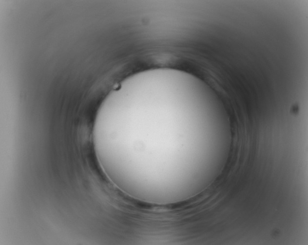 X0000114400651200910161057