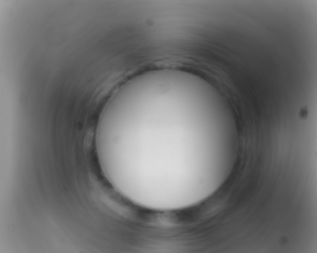 X0000114400652200910161057
