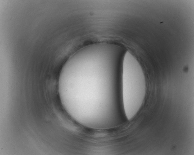 X0000114400653200910161057