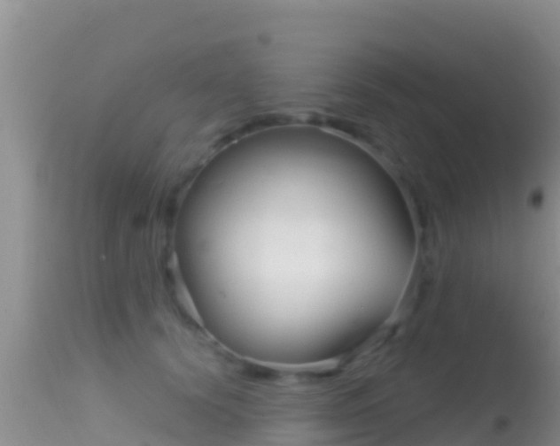 X0000114400656200910161057