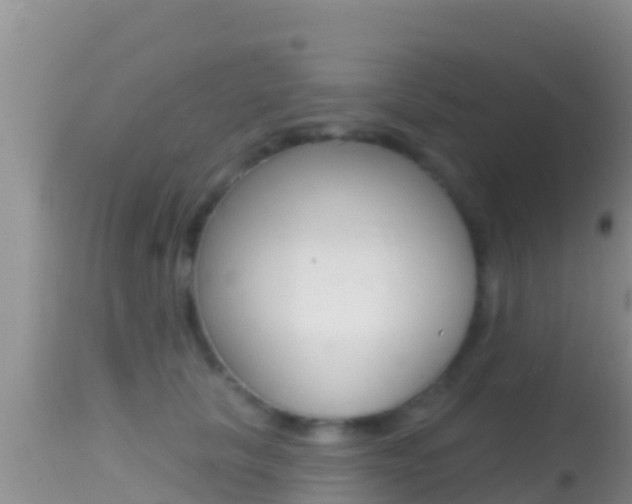 X0000114400657200910161057