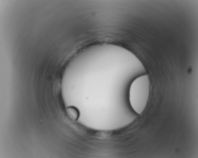 X0000114400660200910161057