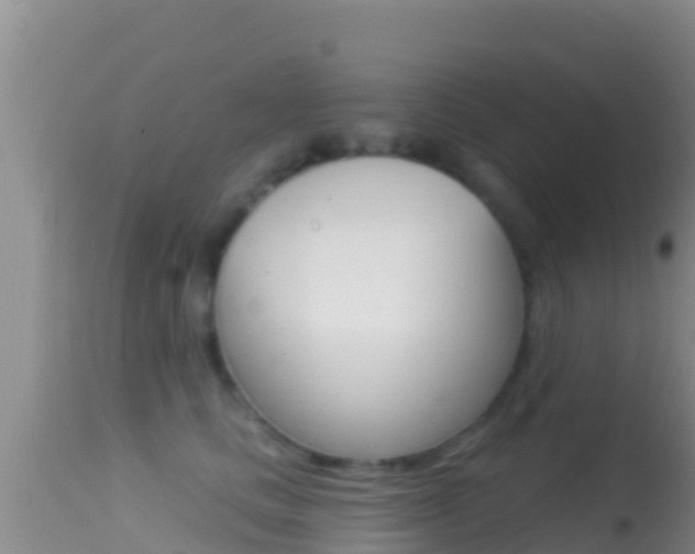X0000114400661200910161057