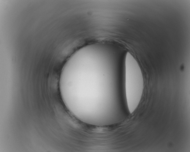 X0000114400664200910161057