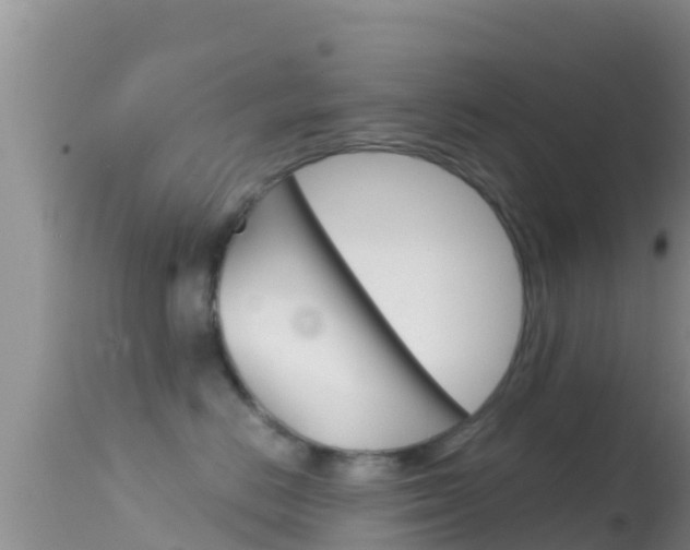 X0000114400670200910161057