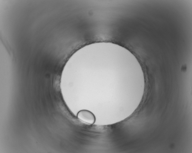 X0000114400672200910161057