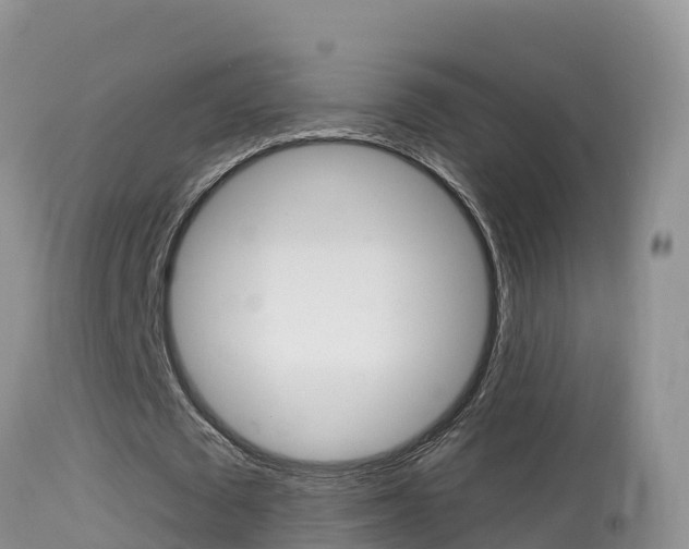 X0000114400673200910161056