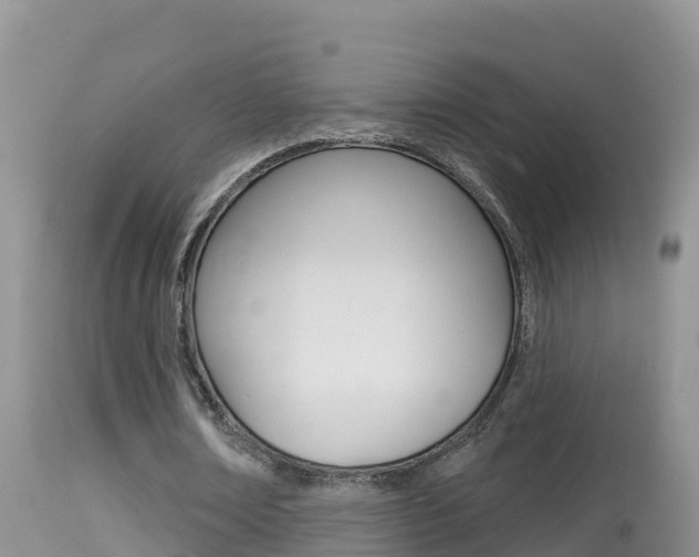 X0000114400674200910161056