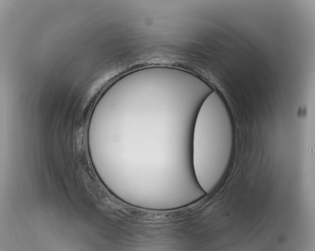 X0000114400675200910161056