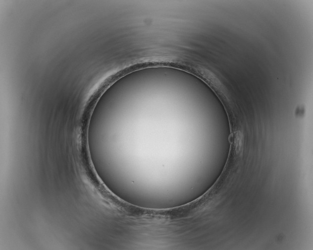 X0000114400676200910161056