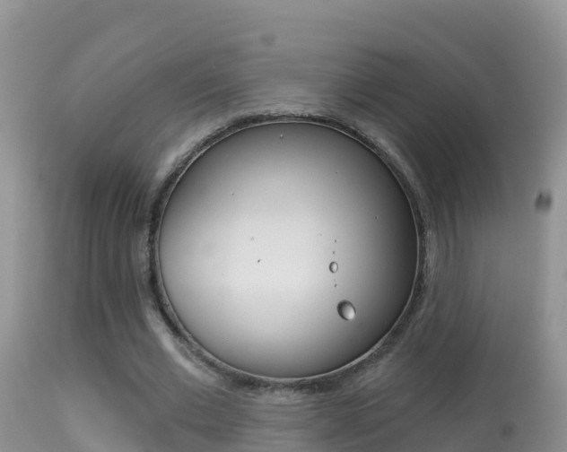 X0000114400677200910161056