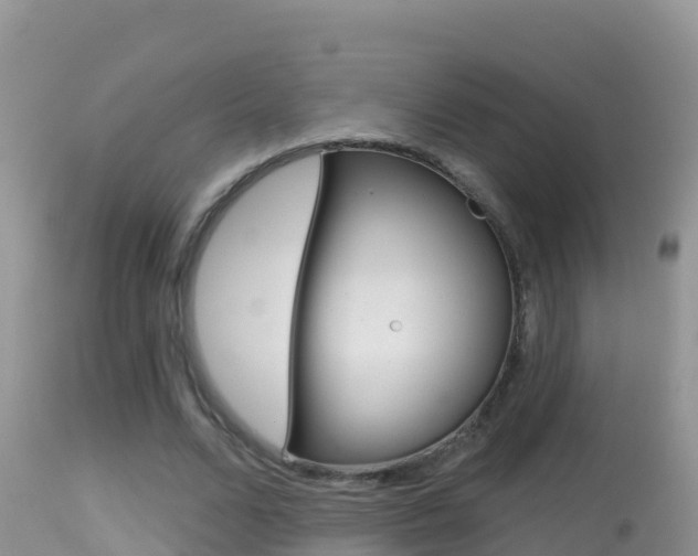X0000114400680200910161056