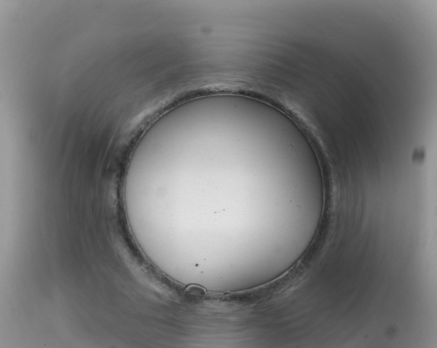 X0000114400681200910161056