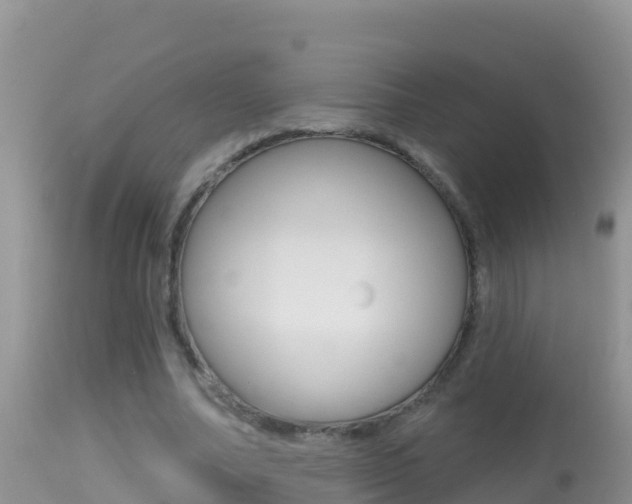 X0000114400682200910161056