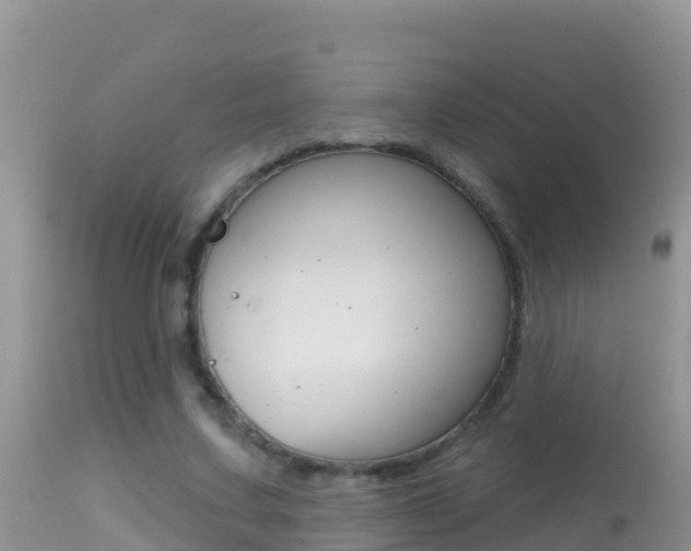 X0000114400683200910161056