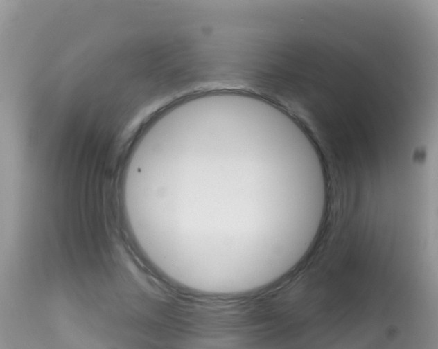 X0000114400684200910161056