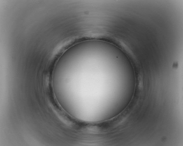 X0000114400685200910161056