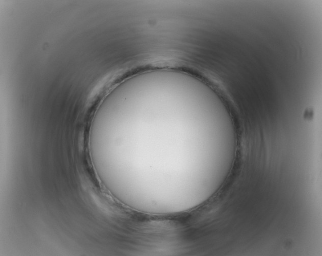 X0000114400686200910161056