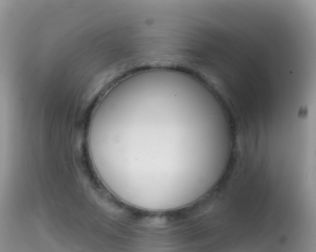 X0000114400687200910161056