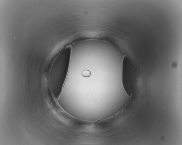 X0000114400688200910161056