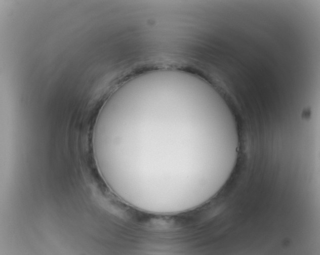 X0000114400690200910161056