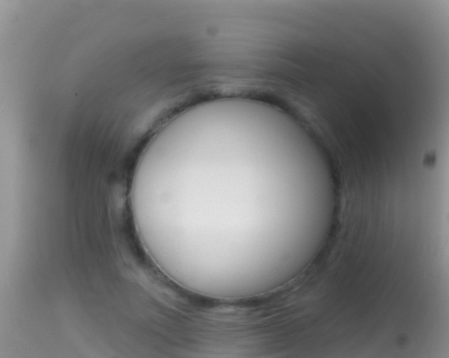 X0000114400691200910161056