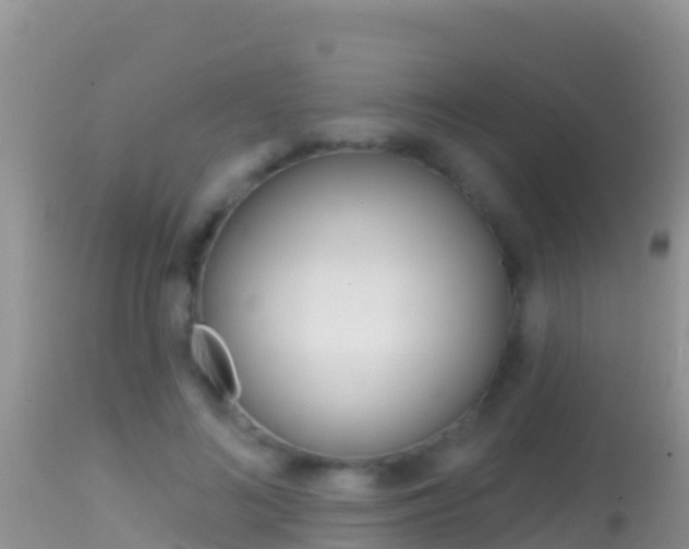 X0000114400692200910161056