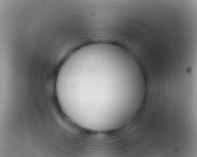X0000114400695200910161056