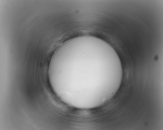 X0000114400698200910161056