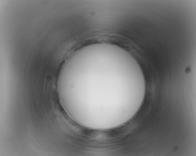 X0000114400702200910161056