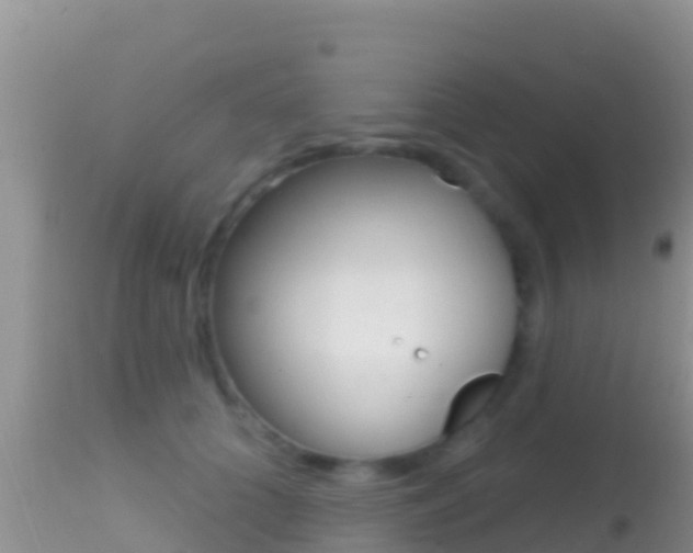 X0000114400704200910161056