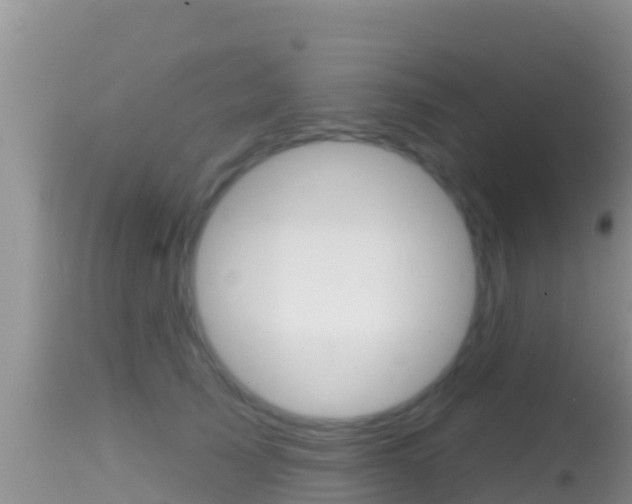 X0000114400705200910161056