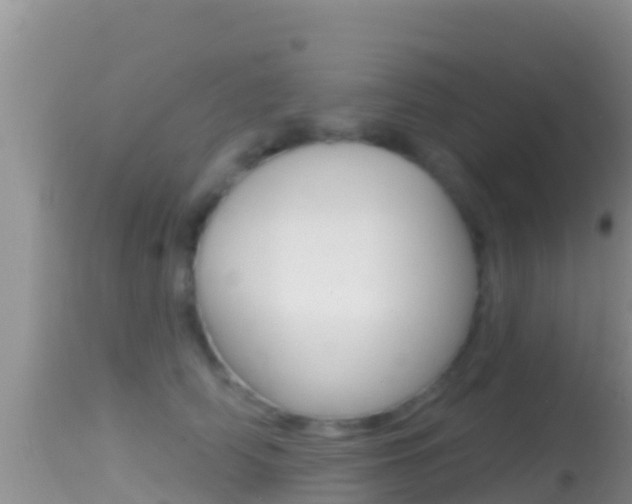 X0000114400706200910161056