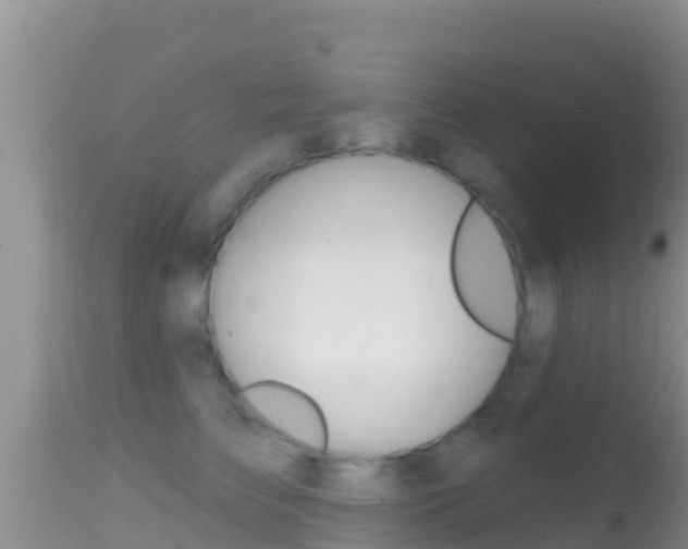 X0000114400709200910161056