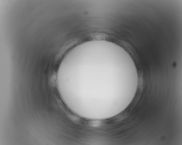 X0000114400717200910161056