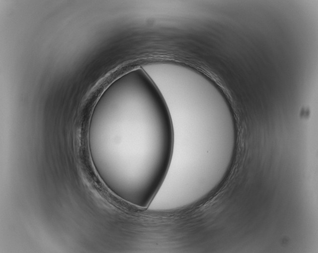 X0000114400722200910161055