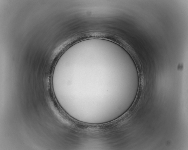 X0000114400725200910161055