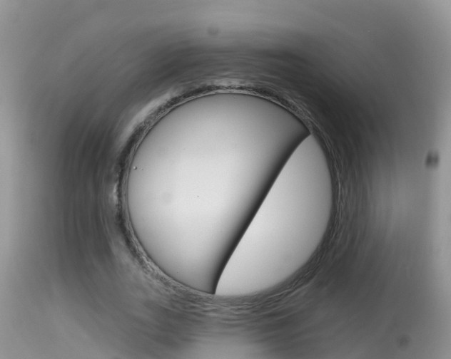 X0000114400727200910161055